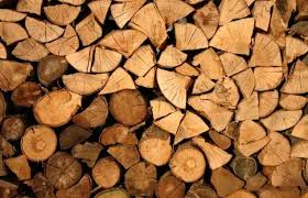 Wood Based Carbon